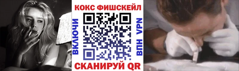 Кокаин Fish Scale  Купить закладки  Лермонтов 