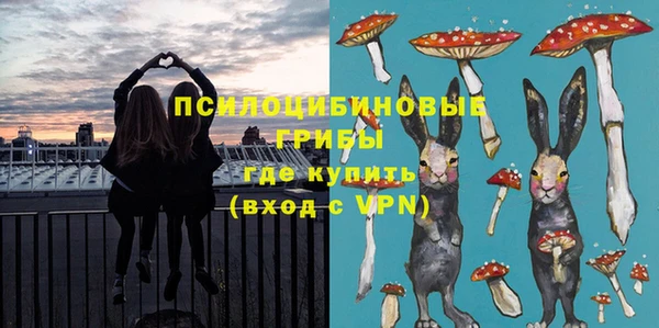 молекула духа Алзамай