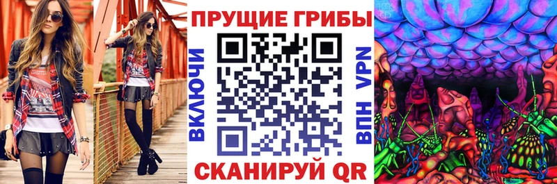 Галлюциногенные грибы Psilocybe  Купить где  Лермонтов 